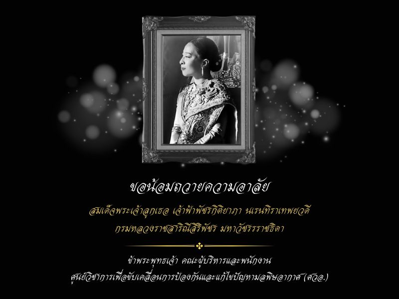ข่าวประชาสัมพันธ์และกิจกรรมล่าสุด